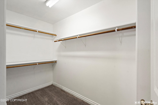 spacious closet with dark carpet