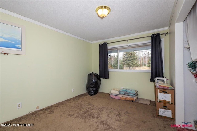 16500 E Smith Rd, Palmer, AK 99645 - bedroom with carpet flooring, a textured ceiling, and ornamental molding