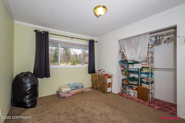16500 E Smith Rd, Palmer, AK 99645 - interior space featuring carpet floors, ornamental molding, and a textured ceiling
