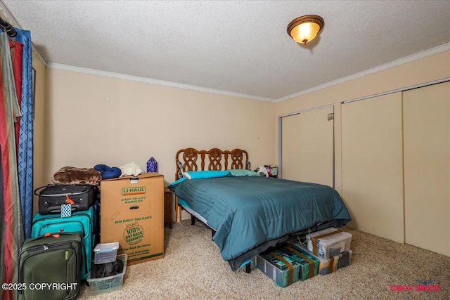16500 E Smith Rd, Palmer, AK 99645 - carpeted bedroom featuring ornamental molding and a textured ceiling