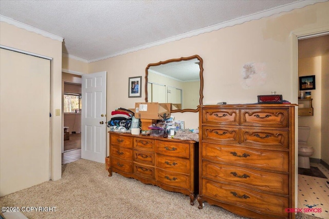 16500 E Smith Rd, Palmer, AK 99645 - bedroom with ornamental molding, carpet, and a textured ceiling