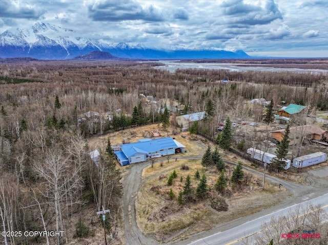 16500 E Smith Rd, Palmer, AK 99645 - birds eye view of property featuring a mountain view
