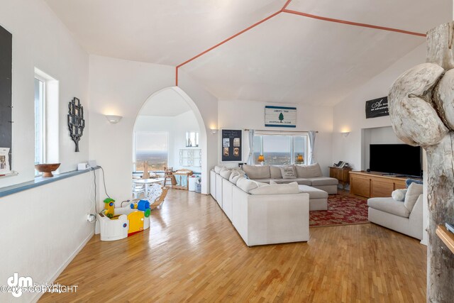 65265 Knob Hill Rd, Anchor Point, AK 99556 - living room featuring light wood finished floors, arched walkways, and vaulted ceiling