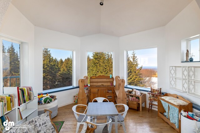65265 Knob Hill Rd, Anchor Point, AK 99556 - sunroom featuring a wealth of natural light