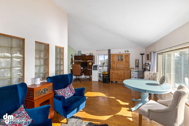 65265 Knob Hill Rd, Anchor Point, AK 99556 - living area featuring wood finished floors, high vaulted ceiling, and a wealth of natural light