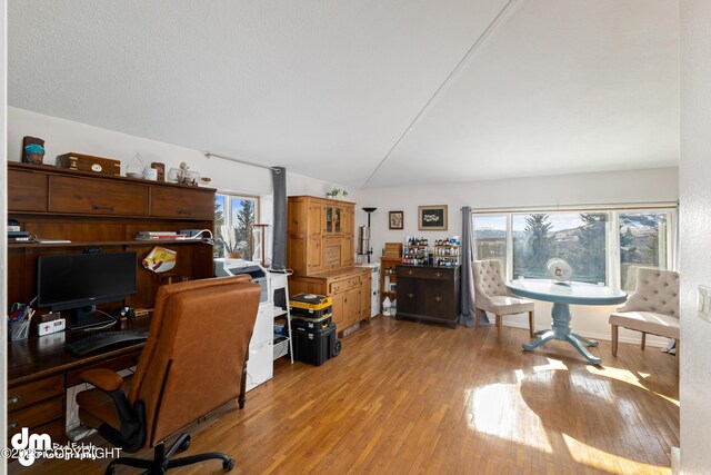 65265 Knob Hill Rd, Anchor Point, AK 99556 - home office featuring wood finished floors and vaulted ceiling