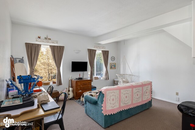 65265 Knob Hill Rd, Anchor Point, AK 99556 - bedroom featuring baseboards and carpet flooring