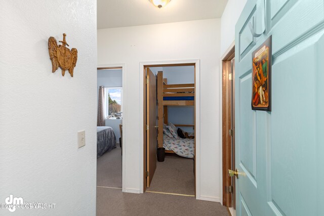 65265 Knob Hill Rd, Anchor Point, AK 99556 - corridor featuring carpet
