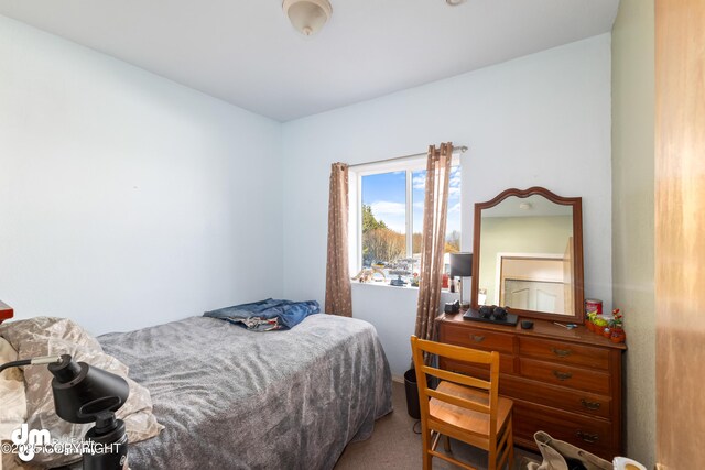 65265 Knob Hill Rd, Anchor Point, AK 99556 - view of carpeted bedroom