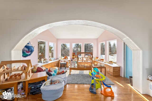 65265 Knob Hill Rd, Anchor Point, AK 99556 - playroom featuring arched walkways, wood finished floors, and lofted ceiling
