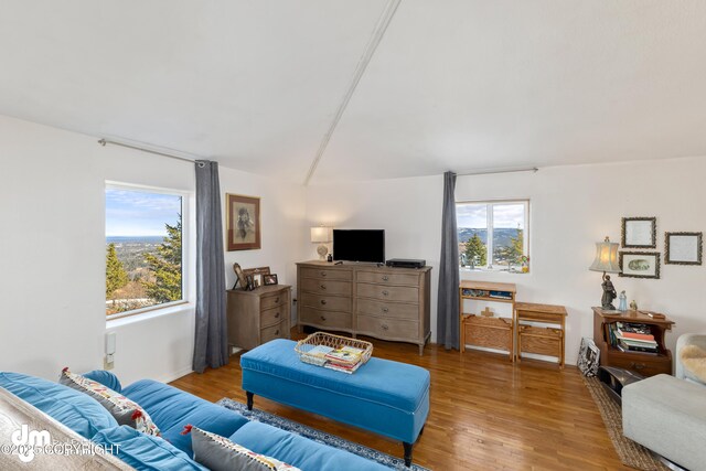 65265 Knob Hill Rd, Anchor Point, AK 99556 - living area with wood finished floors