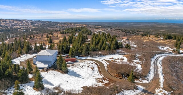 65265 Knob Hill Rd, Anchor Point, AK 99556 - snowy aerial view featuring a wooded view