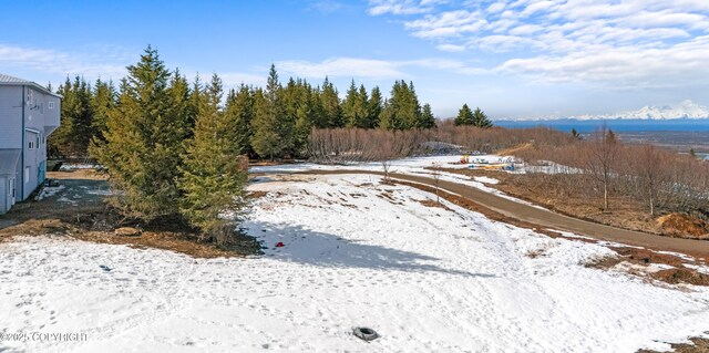 65265 Knob Hill Rd, Anchor Point, AK 99556 - view of snowy yard
