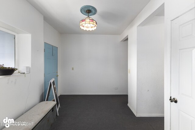 65265 Knob Hill Rd, Anchor Point, AK 99556 - hallway with dark carpet and baseboards