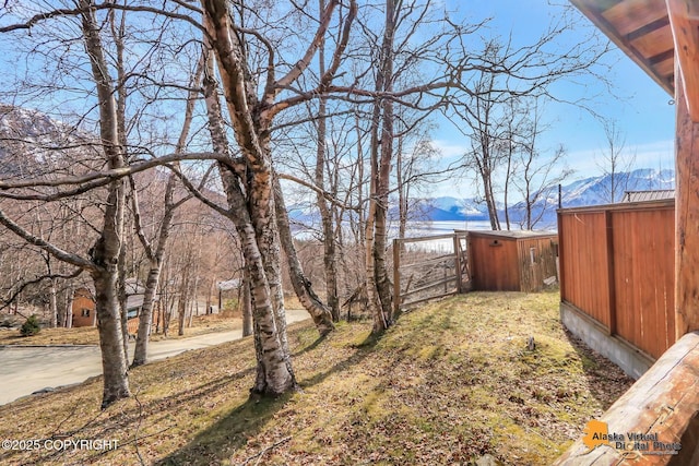 view of yard featuring a mountain view, a shed, and an outdoor structure