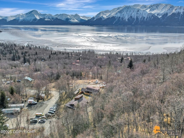 mountain view with a wooded view and a water view