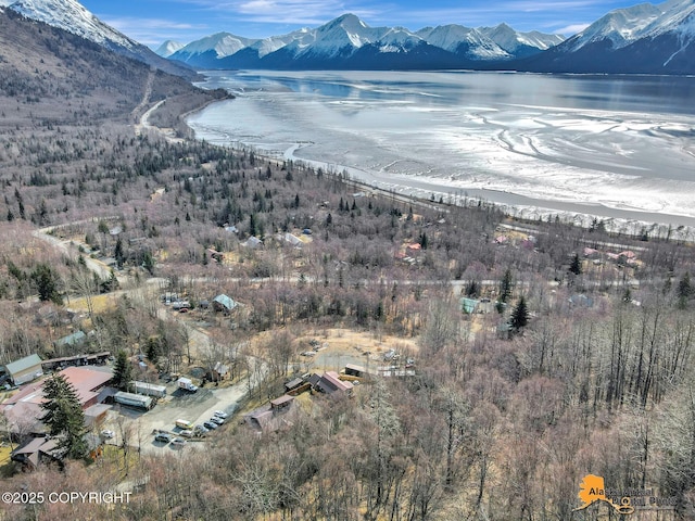 view of mountain feature featuring a water view