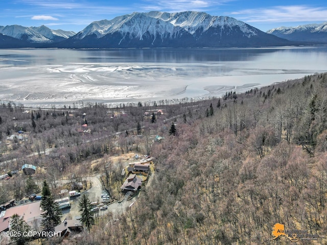 view of mountain feature with a water view