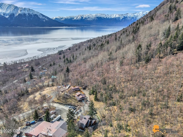 birds eye view of property featuring a water and mountain view