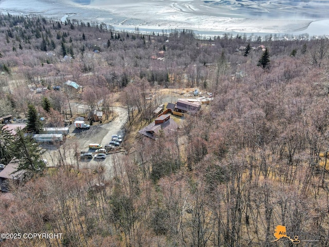 bird's eye view with a wooded view