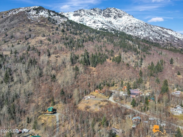 view of mountain feature with a wooded view