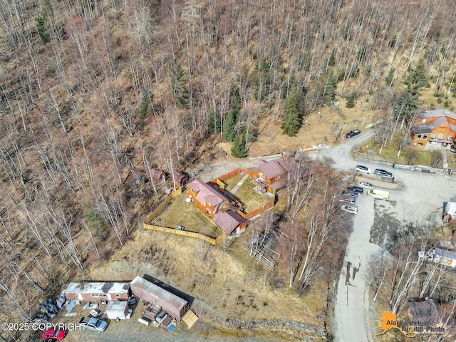 drone / aerial view