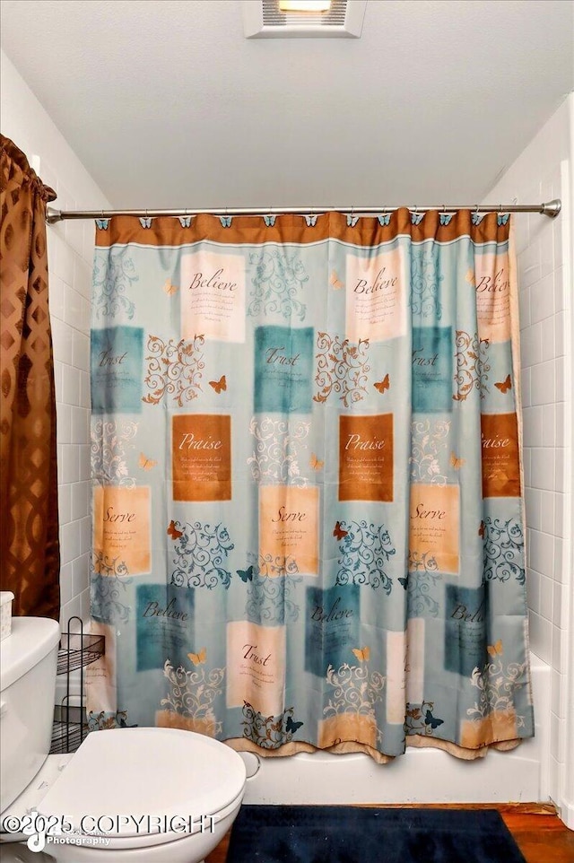 3762-3768 S Lansing Rd, Wasilla, AK 99654 - full bath with toilet and a shower with shower curtain