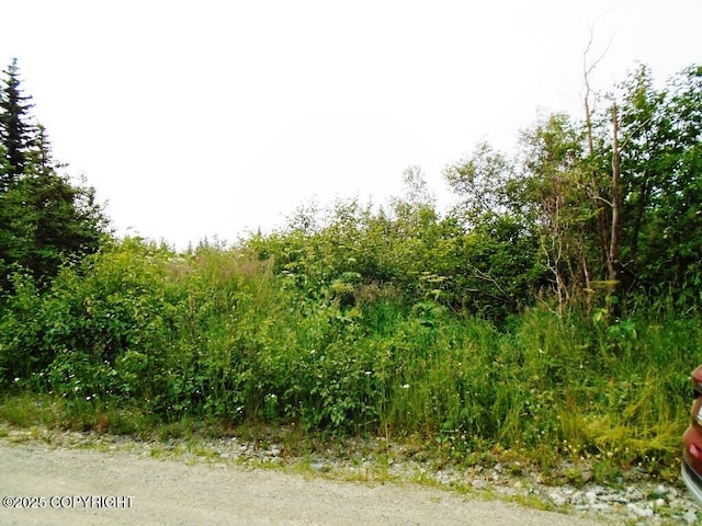 L3A Alta Ct, Anchorage, AK 99516 - photo 4