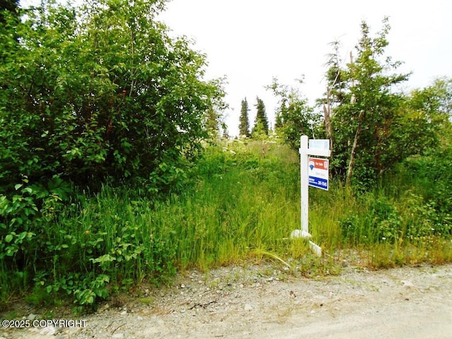 L3A Alta Ct, Anchorage, AK 99516 - photo 3