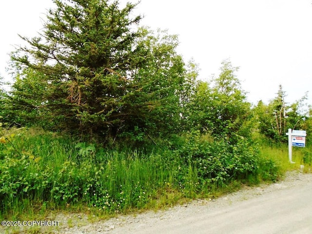 L3A Alta Ct, Anchorage, AK 99516 - photo 2
