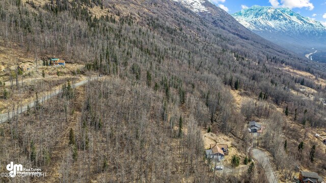 L7AB2 Berryhill Rd, Eagle River, AK 99577