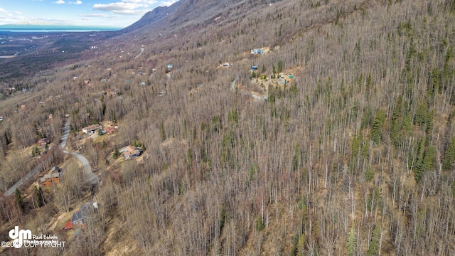 L7AB2 Berryhill Rd, Eagle River, AK 99577
