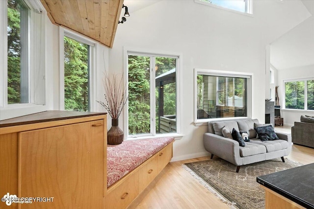 260 Vail Dr, Girdwood, AK 99587 - photo 31