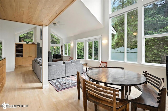 260 Vail Dr, Girdwood, AK 99587 - photo 18