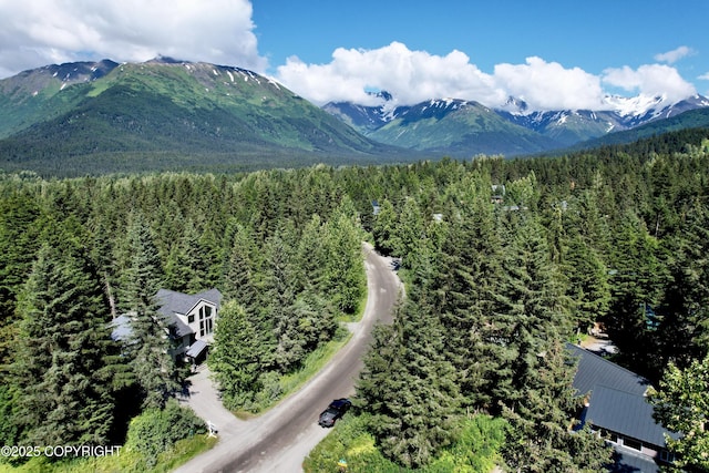 260 Vail Dr, Girdwood, AK 99587 - photo 2