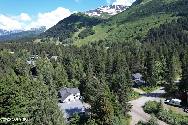260 Vail Dr, Girdwood, AK 99587 - photo 9