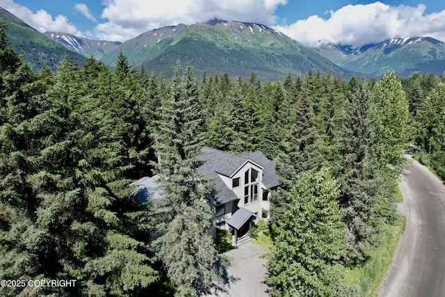 260 Vail Dr, Girdwood, AK 99587 - photo 1