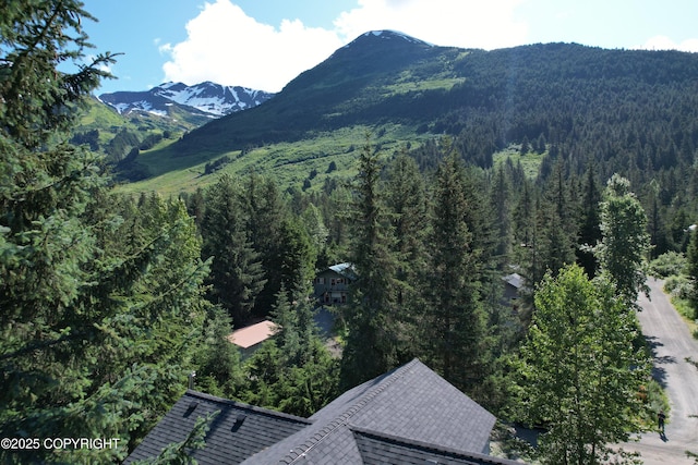 260 Vail Dr, Girdwood, AK 99587 - photo 8