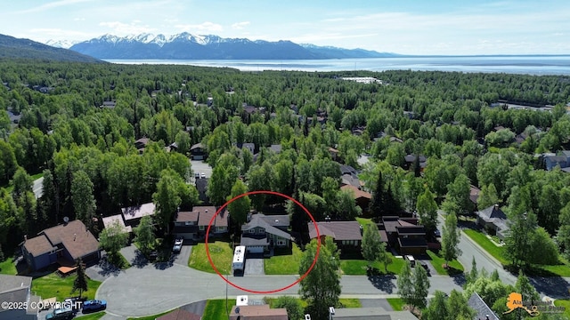 2500 Maylen Cir, Anchorage, AK 99516 - bird's eye view of a heavily wooded area and a water and mountain view