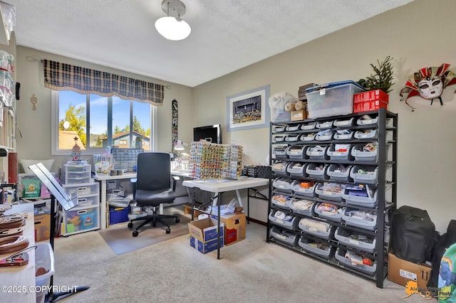 2500 Maylen Cir, Anchorage, AK 99516 - home office featuring carpet and a textured ceiling