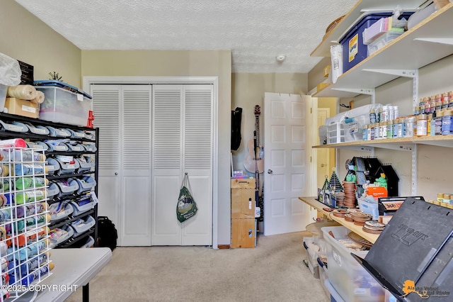 2500 Maylen Cir, Anchorage, AK 99516 - view of storage area