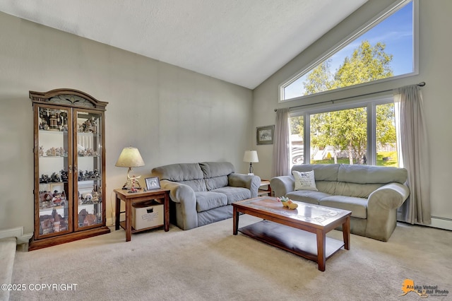 2500 Maylen Cir, Anchorage, AK 99516 - living room featuring high vaulted ceiling, carpet, and a textured ceiling