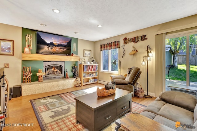 2500 Maylen Cir, Anchorage, AK 99516 - living area with a textured ceiling, wood finished floors, plenty of natural light, a glass covered fireplace, and a baseboard heating unit