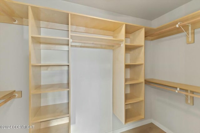1029 Shelley Ave, Homer, AK 99603 - view of spacious closet