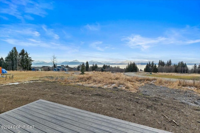 1029 Shelley Ave, Homer, AK 99603 - view of yard with a mountain view