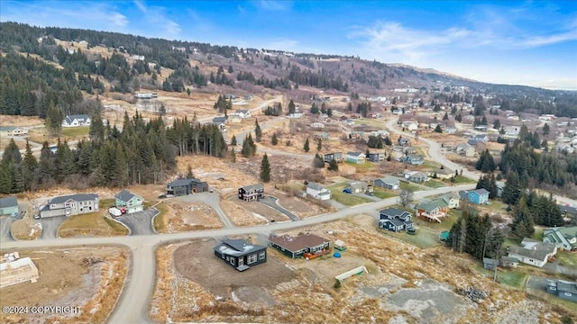 1029 Shelley Ave, Homer, AK 99603 - aerial view of property's location featuring nearby suburban area
