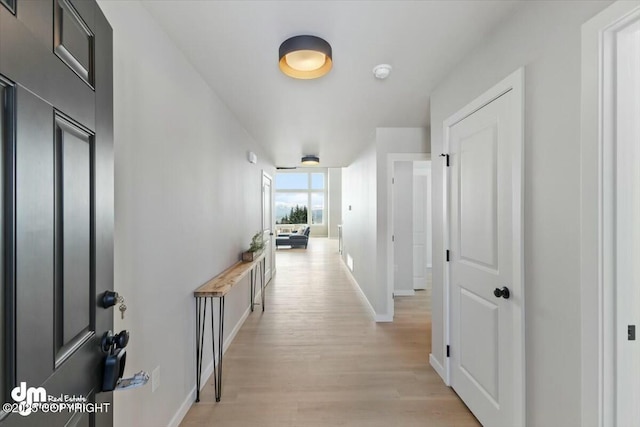 1029 Shelley Ave, Homer, AK 99603 - hallway featuring light wood-style flooring and baseboards