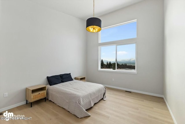 1029 Shelley Ave, Homer, AK 99603 - bedroom with light wood-style flooring