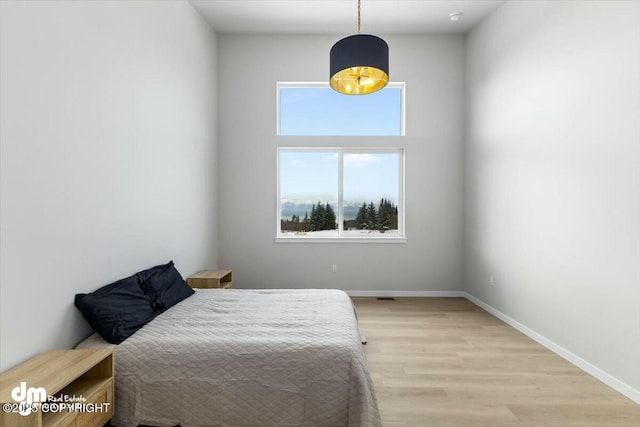1029 Shelley Ave, Homer, AK 99603 - bedroom with multiple windows and light wood-style flooring