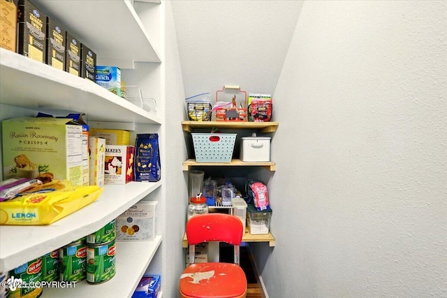 3361 N Inspiration Loop, Wasilla, AK 99654 - view of pantry